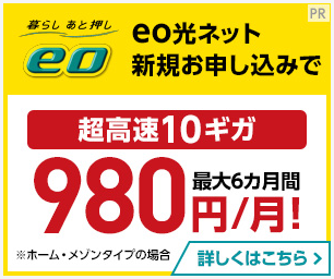 eo光ネット980円トップ